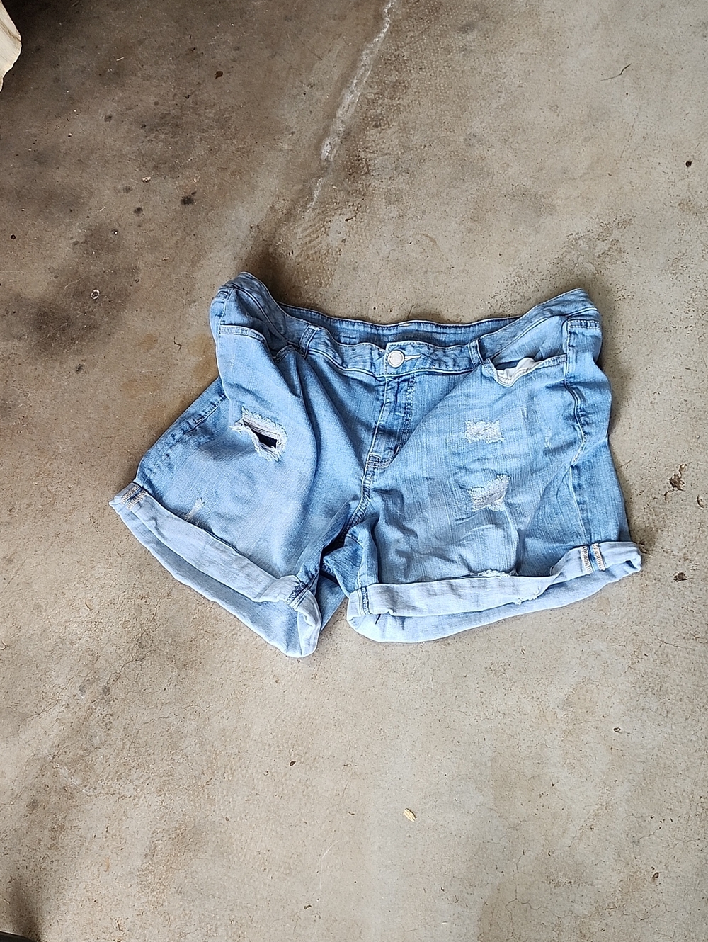 Light Blue Distressed Roll-Cuff Women's Denim Shorts